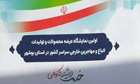 ظرفیت های آموزشی اداره کل آموزش فنی وحرفه ای استان بوشهر درنمایشگاه توانمندیهای اتباع خارجی